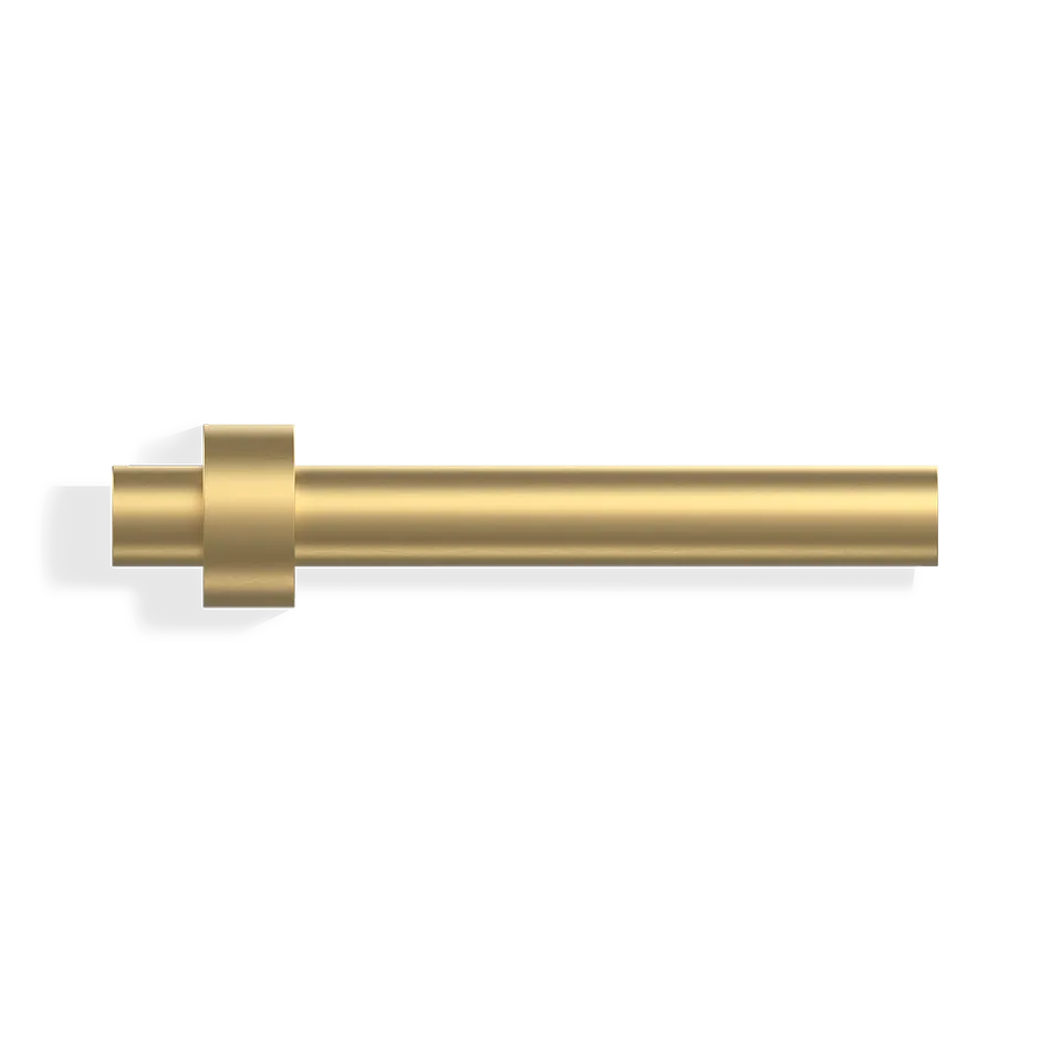 decor-walther-century-tph-toilettenpapierhalter-gold-matt-19cm image 1