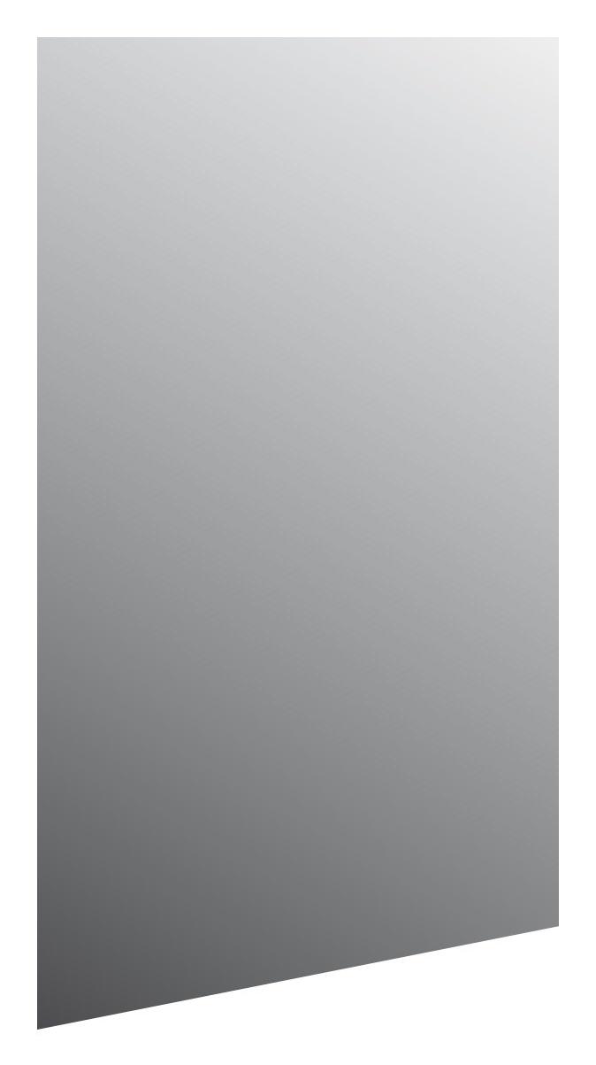 frasco-centric-free-spiegel-50-x-120-cm-mit-splitterschutzfolie image 1
