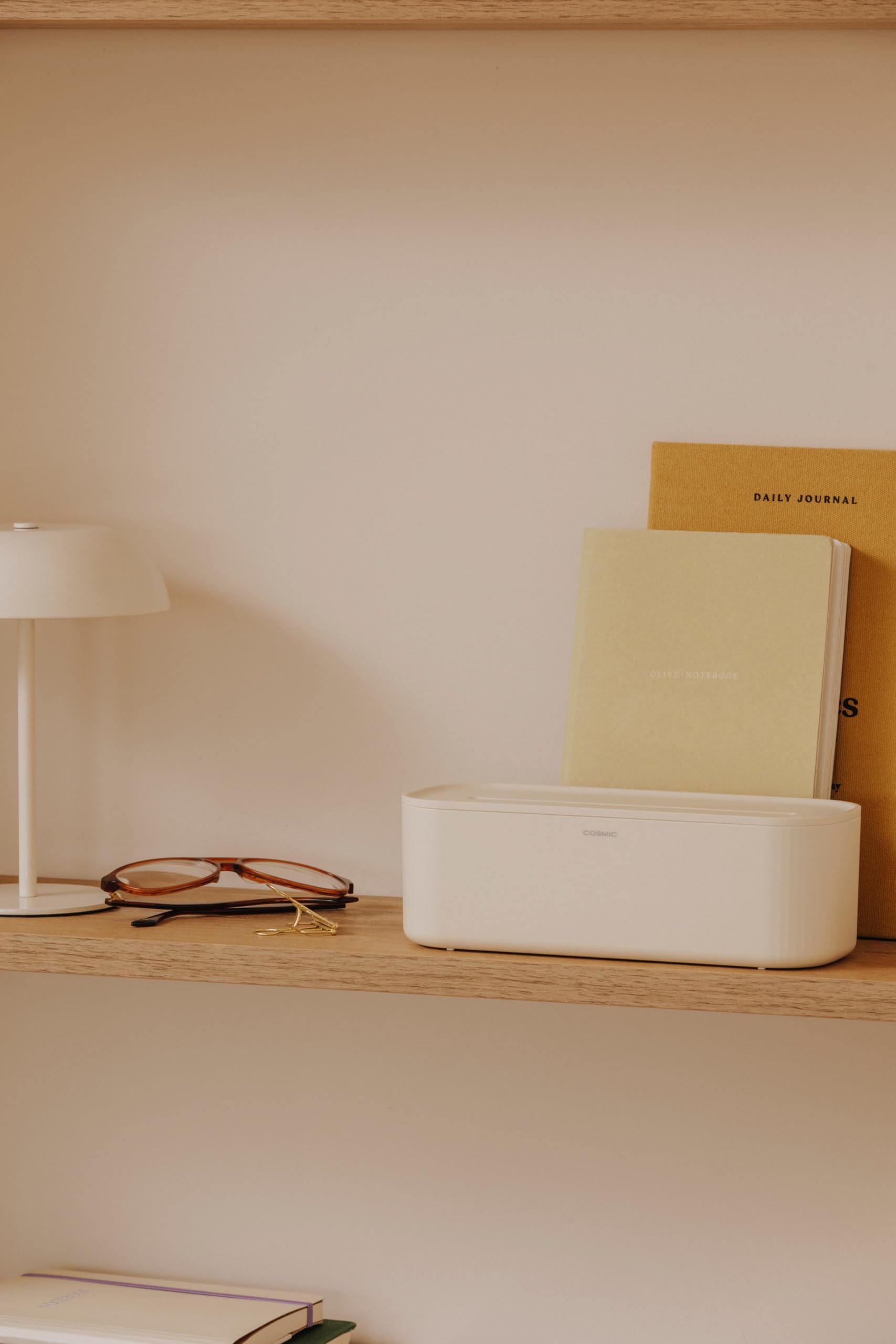 cosmic-alife-box-pale-green-aufbewahrungsbox image 3